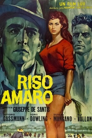 Riso amaro