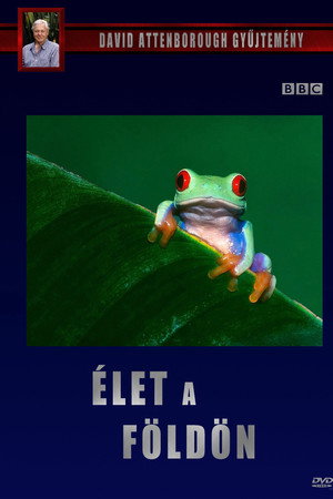 Élet a Földön