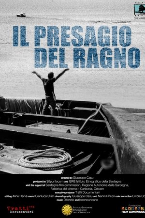 Il presagio del ragno