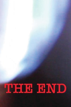 THE END