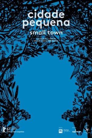 Cidade Pequena