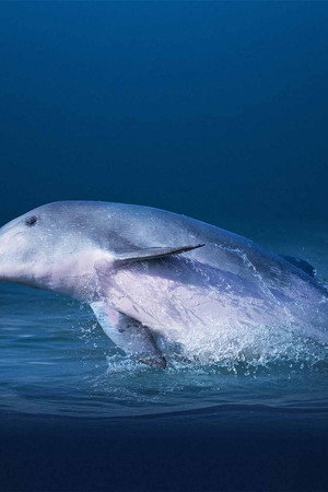 2. epizoda
