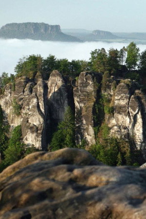 The Bastei Bridge: A Dream of Nature