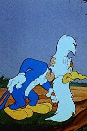 Born to Peck
