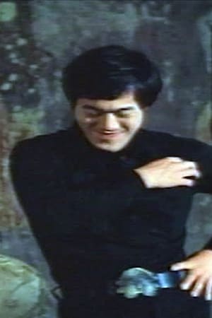 Fists Of Bruce Lee