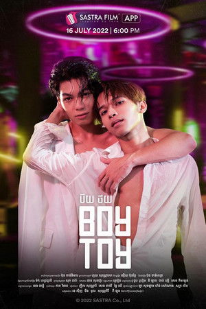 Boy Toy