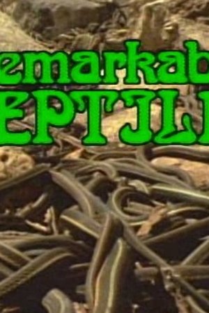 9. epizoda