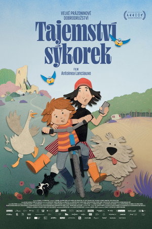 Tajemství sýkorek