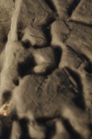 5. epizoda