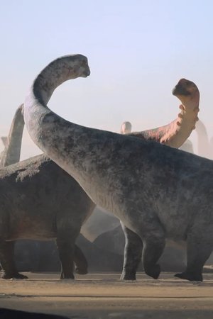 6. epizoda