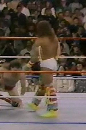 November 5, 1988 - Superstars of Wrestling 114