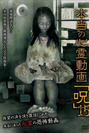 Hontō no Shinrei Dōga 'Noroi' 15