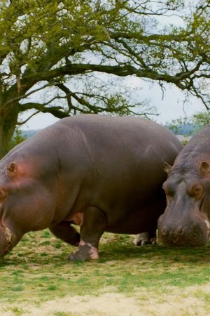 15. epizoda