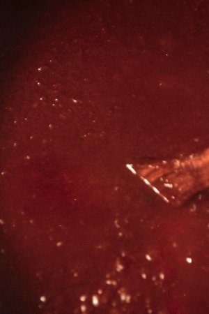 1. epizoda