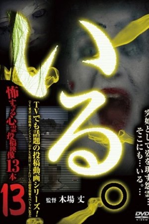 「Iru.」~ Kowasugiru Tōkō Eizō 13-hon ~ Vol.13