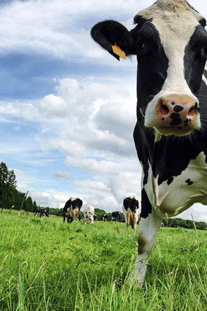 Robo-farm, Log Stacker, Piano Moving