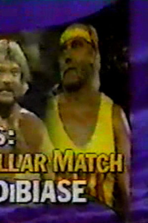 October 21, 1989 - Superstars of Wrestling 164