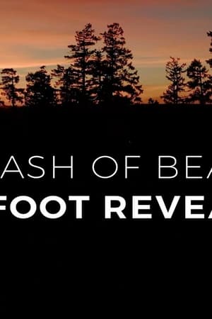 A Flash of Beauty: Bigfoot Revealed