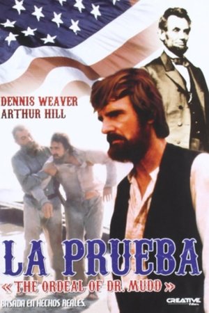 The Ordeal of Dr. Mudd