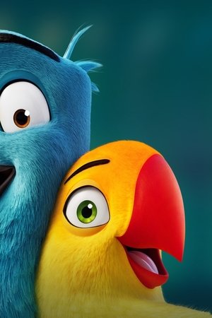 Love Birds