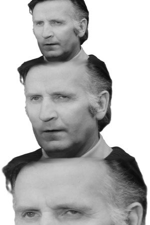 Puikas, zirgos!
