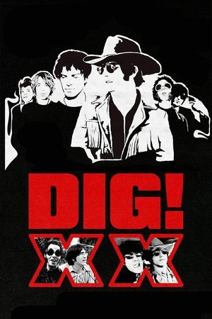 DIG! XX