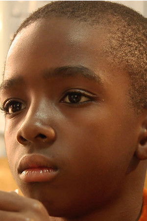 Noah Dreams of Origami Fortunes