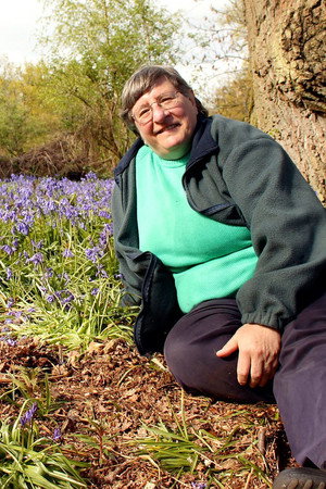 Lilies and Woodland Gardens