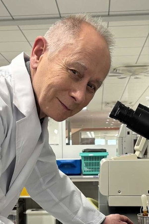 Chokatsu: Improving Gut Health