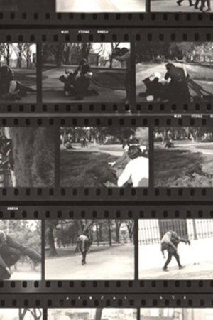 Fragmentos rebelados
