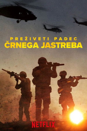 Preživeti padec črnega jastreba
