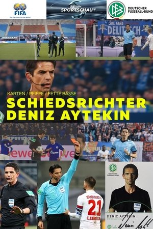 Karten, Pfiffe, fette Bässe - Schiedsrichter Deniz Aytekin