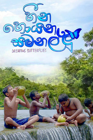 Dreaming Butterflies