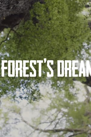 A Forest's Dream