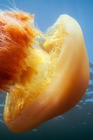 3. epizoda