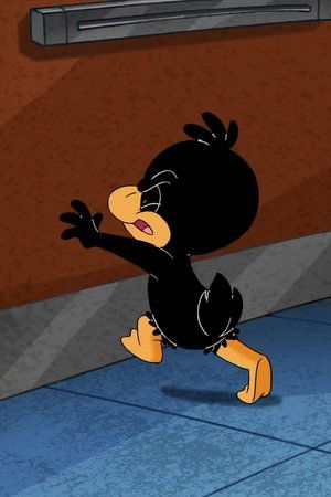 Světla, kamera, Tweety!