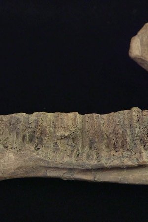 3. epizoda