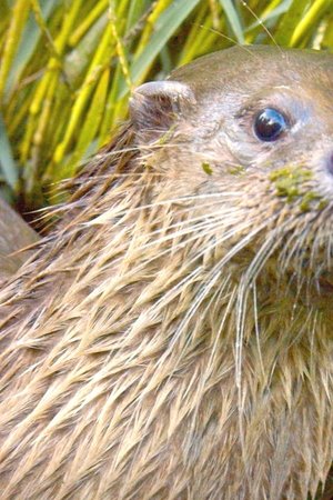 8. epizoda