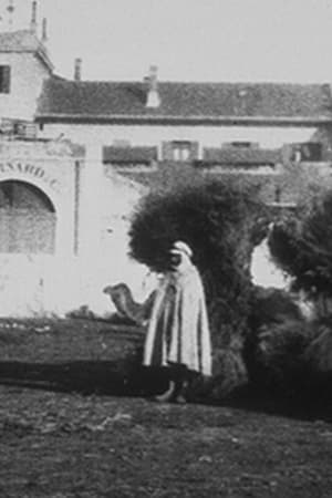 Marché aux charbons (avec chameaux)