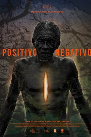 Positivo Negativo