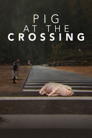 Pig at the Crossing