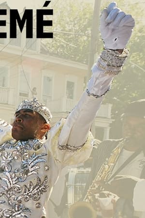 Faubourg Tremé: The Untold Story of Black New Orleans