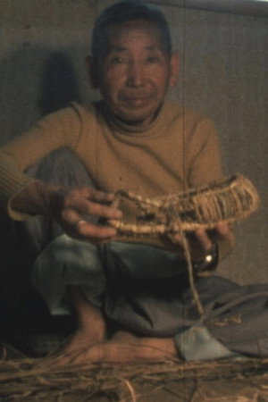 Straw Shoes