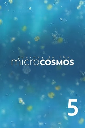 Temporada 5