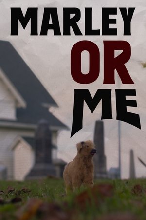 Marley Or Me
