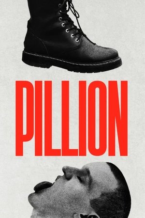 Pillion