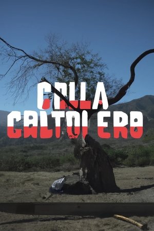 Calavera No Chilla