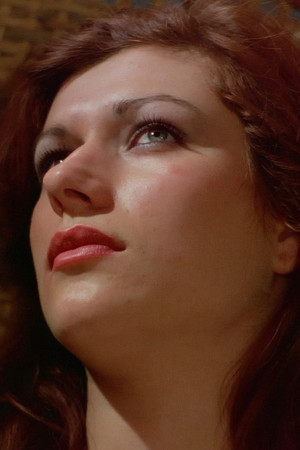 In 80 Betten um die Welt