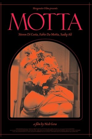 Motta