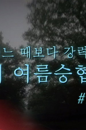 Let's Roll : 🏕제5회 여름승협캠프 #Prologue